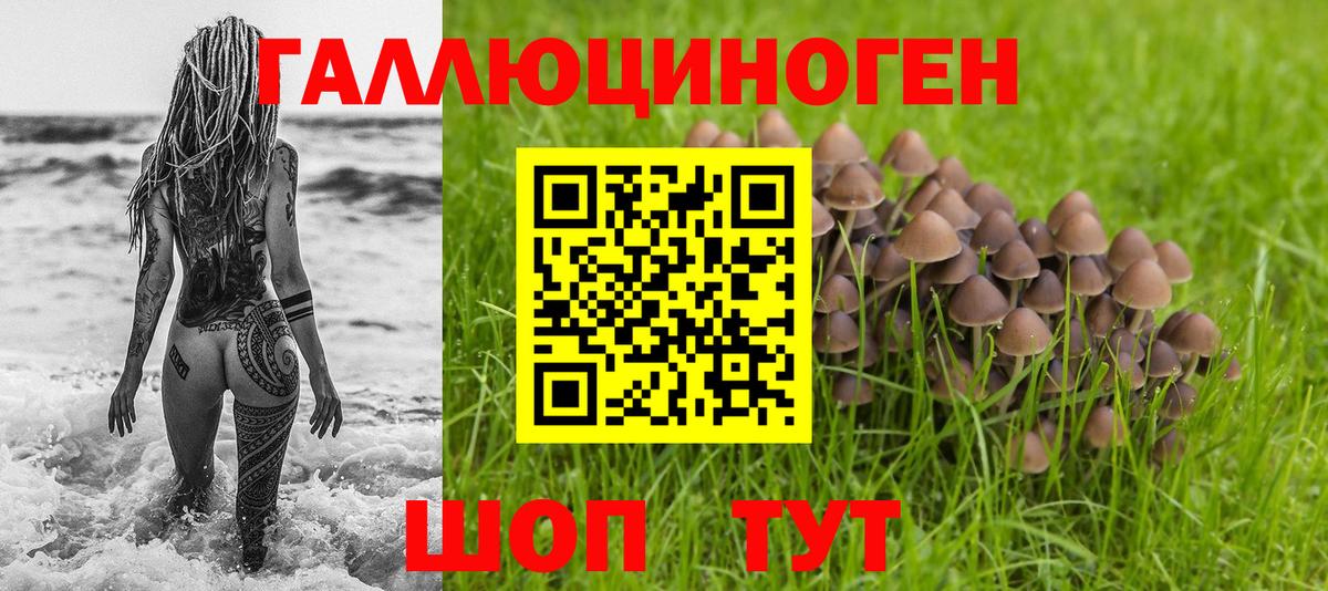 A PVP СК   Гурьевск  ГАШИШ  Где найти наркотики?  Меф МЯУ МЯУ   Марихуана  КОКАИН  Вход с VPN 