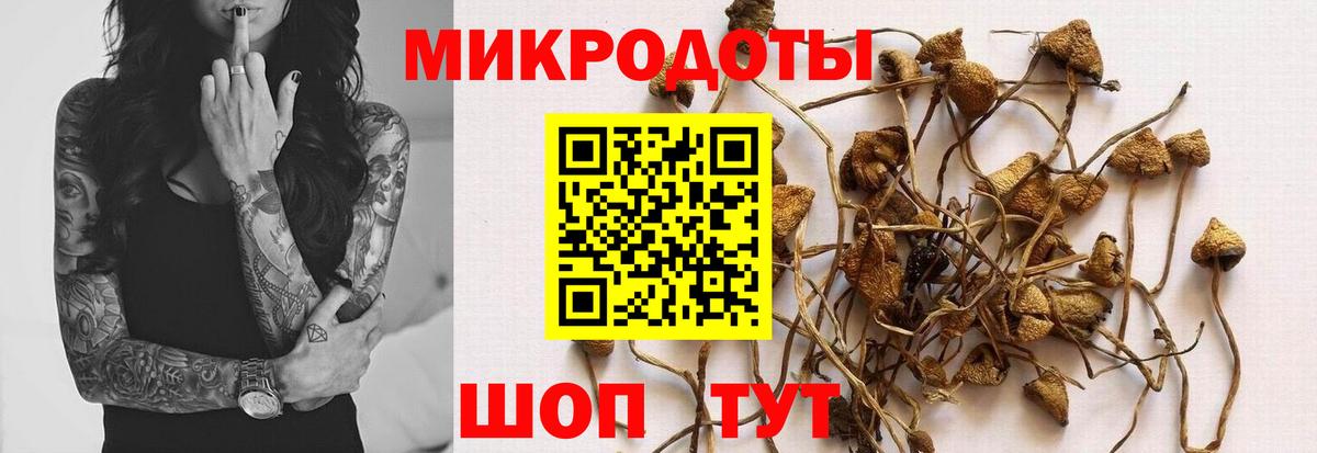 Галлюциногенные грибы ЛСД  как найти   Галлюциногенные грибы Magic Shrooms  Гурьевск  Вход с VPN 